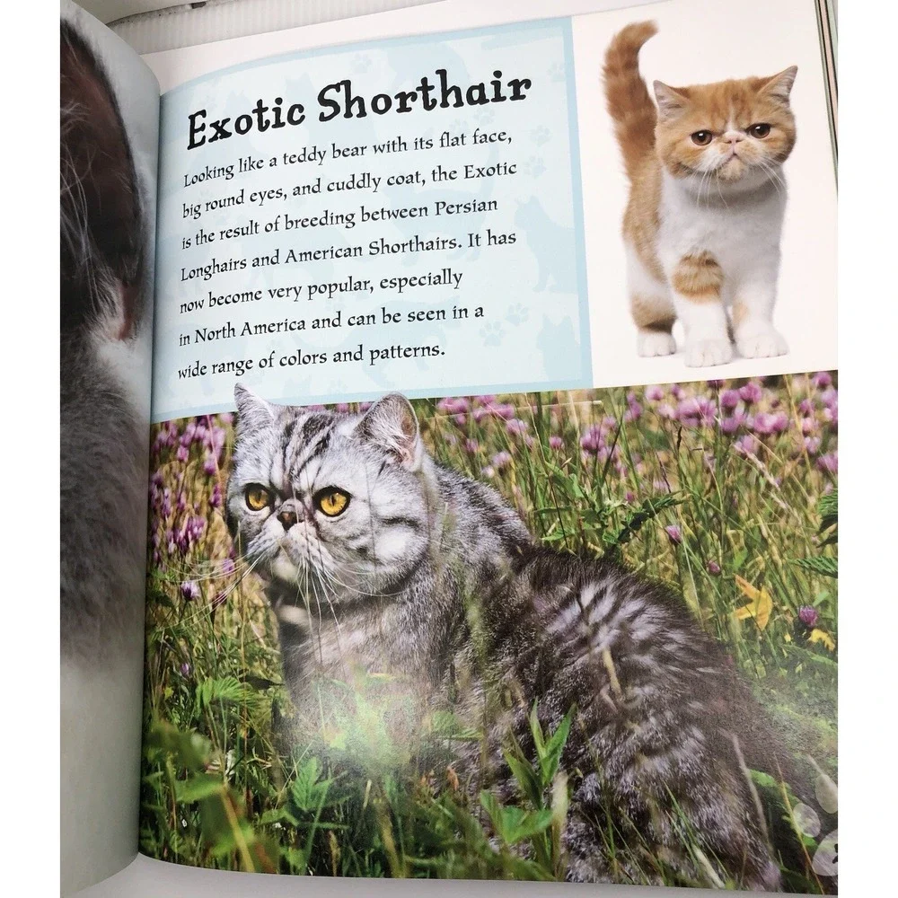 I Love: Cats and Kittens by Alderton, David (2014) Paperback Information Book‎